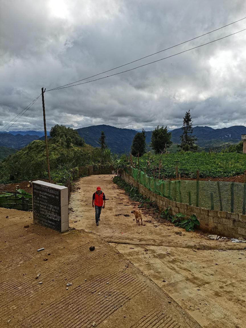 william威廉亚洲-扶贫路上-陈宏